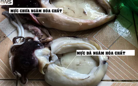 Công nghệ dùng oxy già "phù phép" mực ươn thành tươi ngon khiến người ăn tích tụ hóa chất độc hại: Làm sao để mua được mực tươi ngon, đảm bảo?
