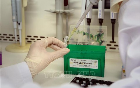 Thái Bình ghi nhận 4 ca tái dương tính với SARS-CoV-2