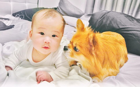 Bị phản đối gay gắt chuyện nuôi chó khi nhà có trẻ nhỏ, mẹ 9x chỉ ra SAI LẦM CỦA NGƯỜI NUÔI khiến thú cưng "mang tiếng"