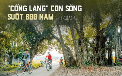 Ngôi làng độc nhất Việt Nam sở hữu "CHIẾC CỔNG" SỐNG SUỐT 800 NĂM, được công nhận là di sản và là bối cảnh của không biết bao nhiêu bộ phim đình đám
