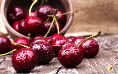 Đừng bao giờ phạm phải sai lầm này khi ăn quả cherry vì có thể khiến bạn ngộ độc, thậm chí tử vong