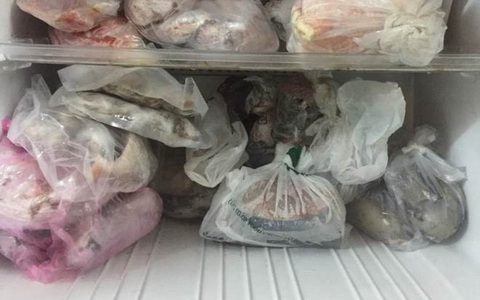 Sài Gòn: Dân tình thi nhau khoe tủ lạnh đầy ắp đồ nhưng “mất điểm” mạnh vì đựng thực phẩm bằng thứ này