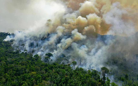 Tin rất buồn: Rừng Amazon chạm đến điểm cực hạn, đang phát thải CO2 còn nhiều hơn khả năng hấp thụ