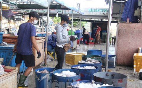 20 người buôn bán trong cảng cá Thọ Quang dương tính với SARS-CoV-2