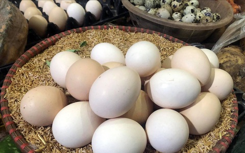 Giải mã hiện tượng trứng gà tăng giá kỷ lục, thương lái tranh nhau mua giữa tâm dịch
