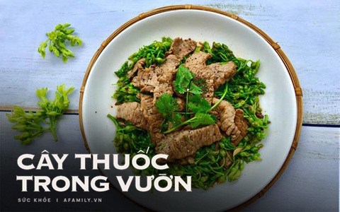 Thứ rau hè nào cũng có, được ví là thần dược trị mất ngủ, ai bị thức trắng vào đêm hè oi nóng hãy tận dụng ngay!