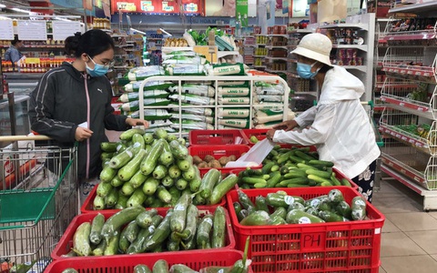 Nhiều tỉnh, thành đưa nông sản, thực phẩm về TP HCM tiêu thụ