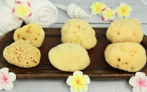 Đây là 4 sản phẩm vệ sinh dùng trong kỳ kinh nguyệt giúp ngừa bệnh phụ khoa, chống viêm nhiễm mà phụ nữ hiện đại cần biết