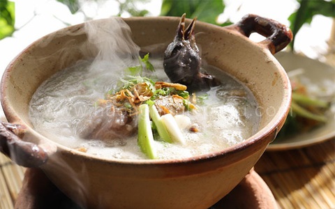 5 điều cấm kỵ khi ăn thịt chim bồ câu, ai biết rồi cần tránh ngay kẻo sinh độc hoặc làm lãng phí dinh dưỡng món ăn