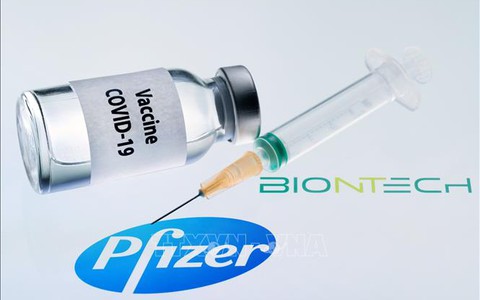 Các hãng Pfizer và BioNTech thử nghiệm lâm sàng vaccine đặc hiệu chống biến thể Omicron