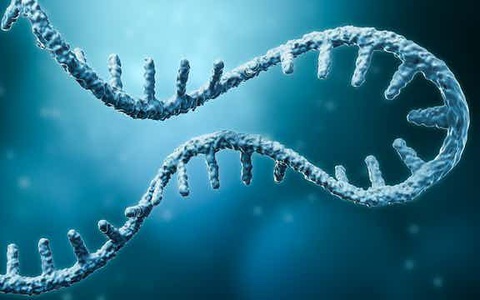 Bắt đầu thử nghiệm ở người vaccine ngừa HIV sử dụng công nghệ mRNA