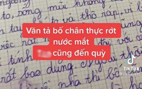 Bài Văn Tả Bố Hài Hước