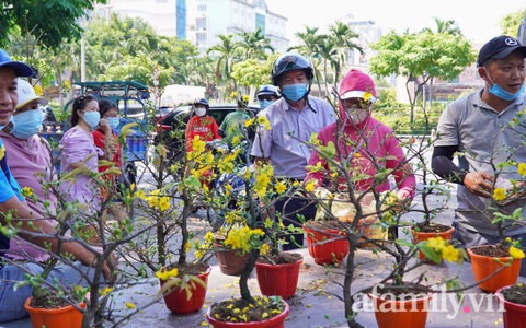 Hoa Tết ngày cuối năm ở TP.HCM "rẻ như cho" nhưng không còn cảnh đập chậu, nhiều người dân tới mua "giải cứu"