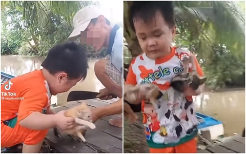 Giả vờ làm hại mèo con để đùa cợt cảm xúc của bé trai, cả gia đình bị dân mạng chỉ trích 