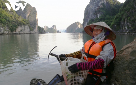 Những phụ nữ nhọc nhằn mưu sinh trên vịnh Hạ Long