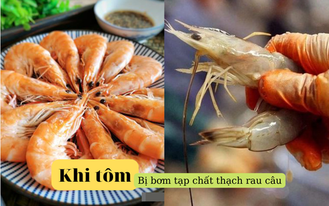 Rộ thông tin "tôm càng được bơm tạp chất thạch rau câu càng tốt cho sức khỏe": Chuyên gia nói gì?