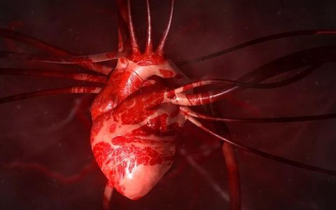 Kỳ diệu: "Hormone tình yêu" oxytocin có thể giúp hàn gắn trái tim tan vỡ