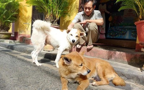 Hơn 1 tỷ đồng tài trợ để người Hội An nói không với thịt chó, mèo