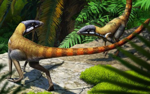 Scleromochlus taylori: Loài bò sát tí hon của kỷ Trias, có họ hàng gần với Pterosaurs