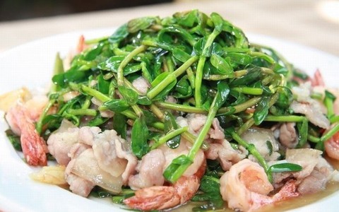 3 loại rau đắng nhưng tốt ngang thuốc quý, có loại còn bổ gan, ức chế được tế bào ung thư