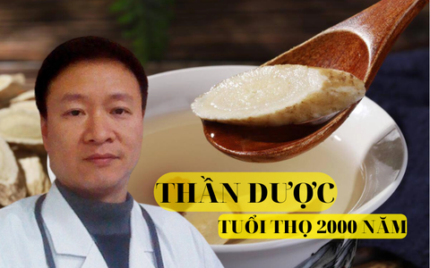 Loại "thần dược" bổ sinh lực tốt ngang nhân sâm mà giá lại rẻ