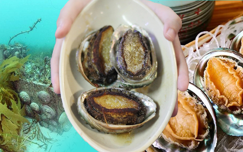 Loại hải sản bổ dưỡng ở Việt Nam được bán với giá gần 1 triệu đồng/kg