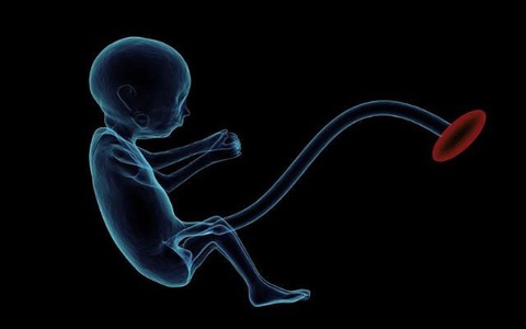 Ô nhiễm tiếp cận thai nhi và làm giảm số lượng tinh trùng trong tương lai của các bé trai