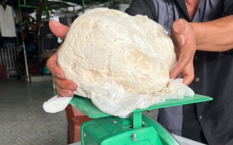 Ngư dân vớt được vật lạ nghi là long diên hương quý hiếm