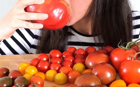 Cà chua tốt cho sức khỏe nhưng có những người không nên ăn