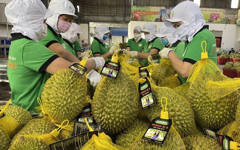 Rau quả Việt Nam xuất khẩu Trung Quốc tăng vọt