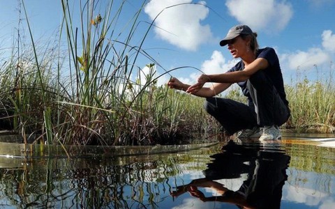Công việc ít căng thẳng nhưng được trả lương hậu hĩnh, tới hơn 2 tỷ/năm: Đây là cách đạt được nó!