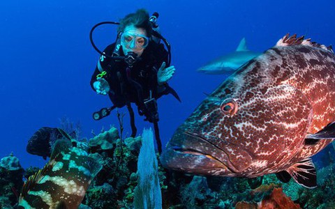 'Nữ hoàng đại dương' Sylvia Earle: U90 vẫn miệt mài bảo vệ môi trường dưới nước