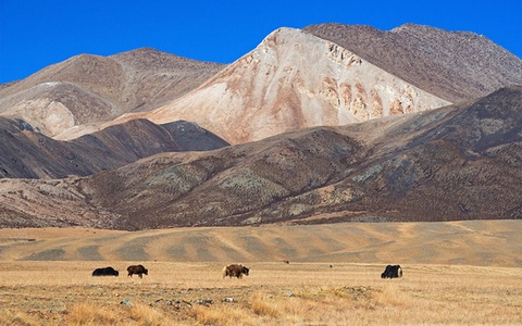 Cao nguyên Thanh Hải - Tây Tạng trên dãy Himalaya nguy cơ sụp đổ