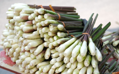 Cuối thu, đầu đông nhớ củ niễng Nam Định