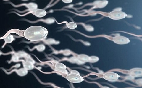 Suy giảm tinh trùng do sai lầm khi bổ sung testosterone