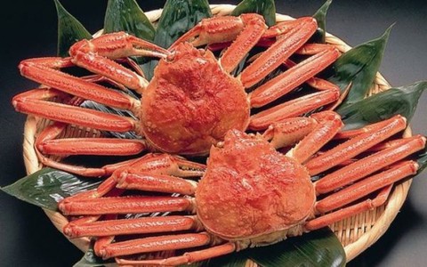 Thơm và ngọt hơn cả cua Hoàng đế: Cua tuyết Na Uy chuẩn phải đáp ứng một loạt tiêu chí khắt khe này