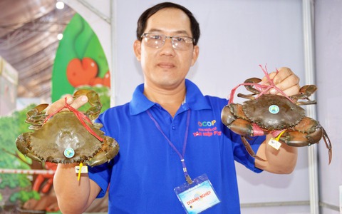Hàng ngàn người háo hức chờ ngày hội cua Cà Mau