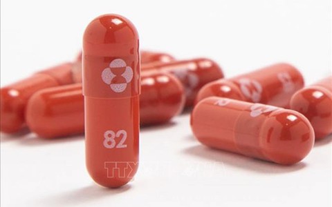 Nghiên cứu sâu về thuốc kháng virus molnupiravir trong điều trị COVID-19