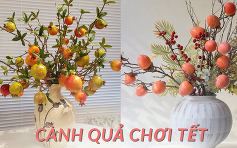 5 loại cành quả chơi Tết giúp gia chủ nghênh đón tài lộc đầu xuân