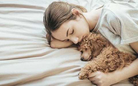 Những sai lầm khi ngủ vào mùa đông có thể khiến bạn đau đầu, khó thở, thậm chí đột tử