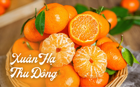 Vì sao mùa đông nên uống nước ép quýt?