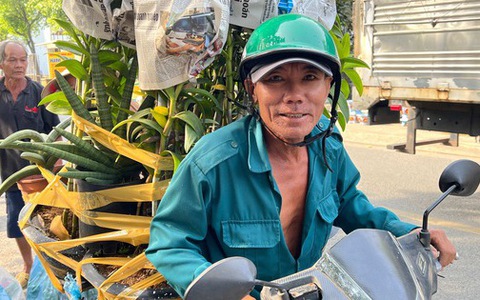TP.HCM: Hoa kiểng Tết rục rịch, khách chưng từ Tết Tây tới Tết Quý Mão