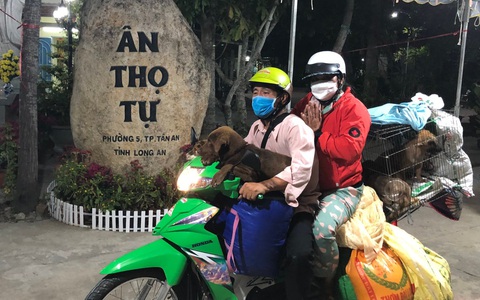 Hình ảnh mới nhất của chủ đàn chó bị tiêu huỷ ở Cà Mau: Hai vợ chồng ghé thăm chú chó còn sót lại trước khi lên Long An làm việc