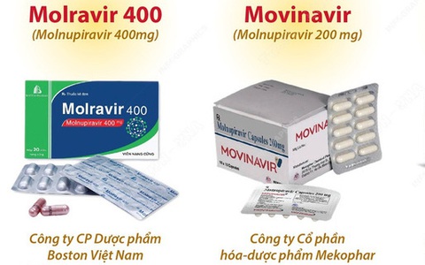 [INFOGRAPHIC] Sử dụng thuốc Molnupiravir thế nào để an toàn và hiệu quả?