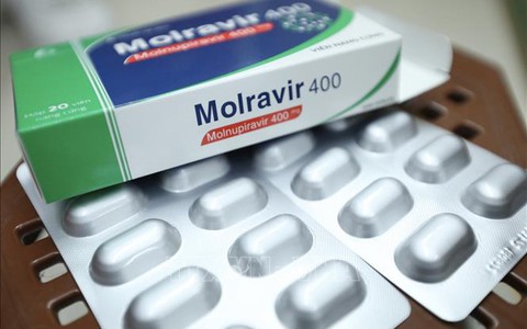 Bổ sung hướng dẫn sử dụng của remdesivir và molnupiravir