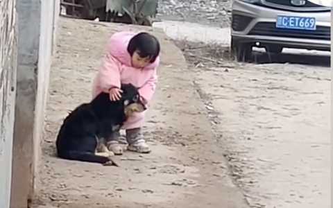 Tiếng pháo hoa Tết nổ tung trời, bé gái làm một hành động đặc biệt cho thú cưng, hé lộ tính cách này trong tương lai