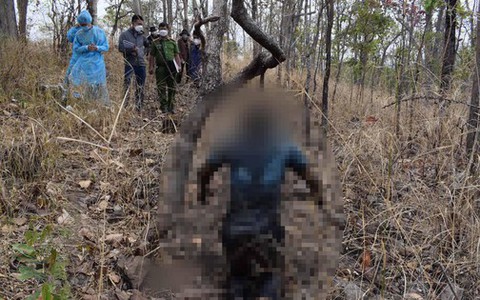 Phát hiện thi thể người đàn ông treo cổ trong rừng ở Đắk Lắk