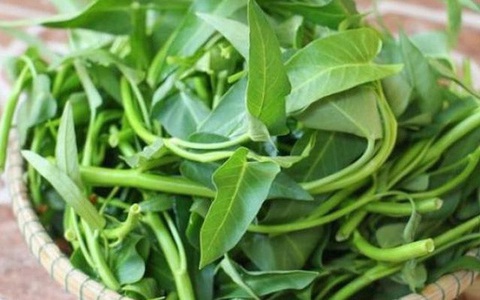 Những đại kỵ nguy hiểm khi ăn rau muống cần bỏ ngay kẻo 'đầu độc' cơ thể