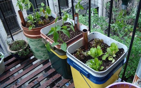 10 cách tự tưới nước cho cây giúp công việc làm vườn của bạn sẽ vô cùng nhàn nhã 