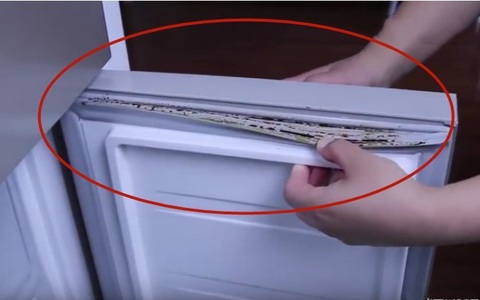 Phát hiện kẽ tủ lạnh bám đầy vết bẩn và đen? Có một mẹo nhỏ giúp bạn xử lý sạch sẽ như mới ngay lập tức